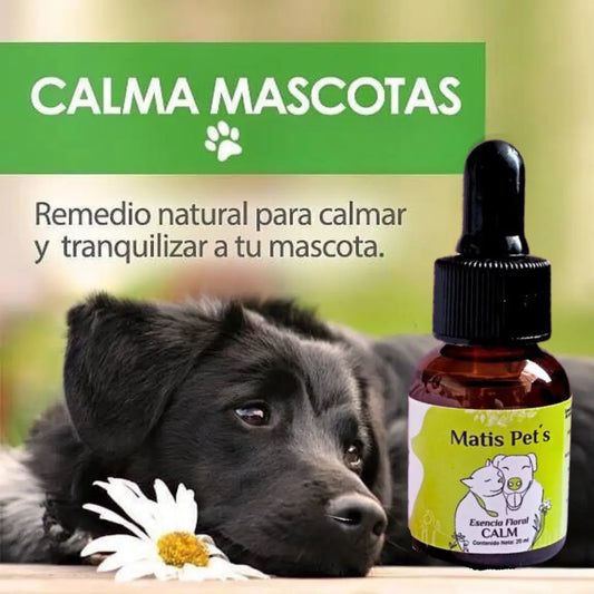 Calmante Natural Para Mascotas